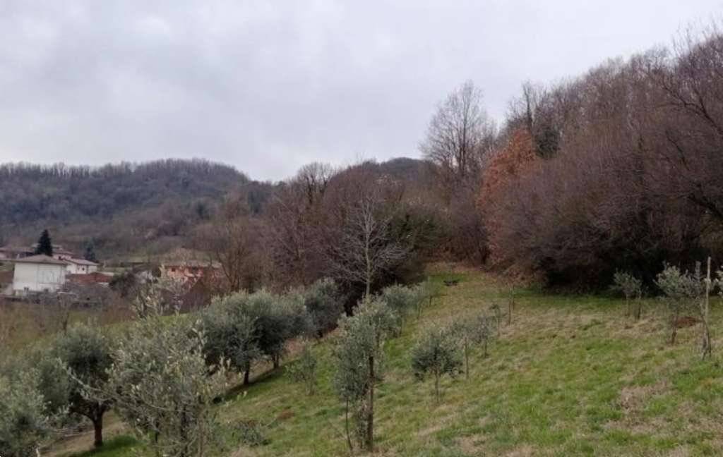  - foto 2