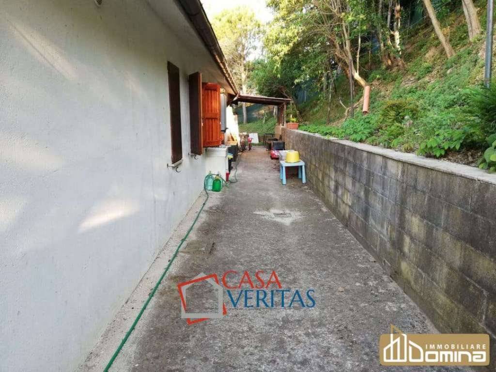  - foto 10