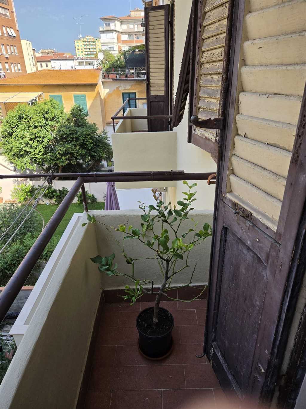  - foto 14