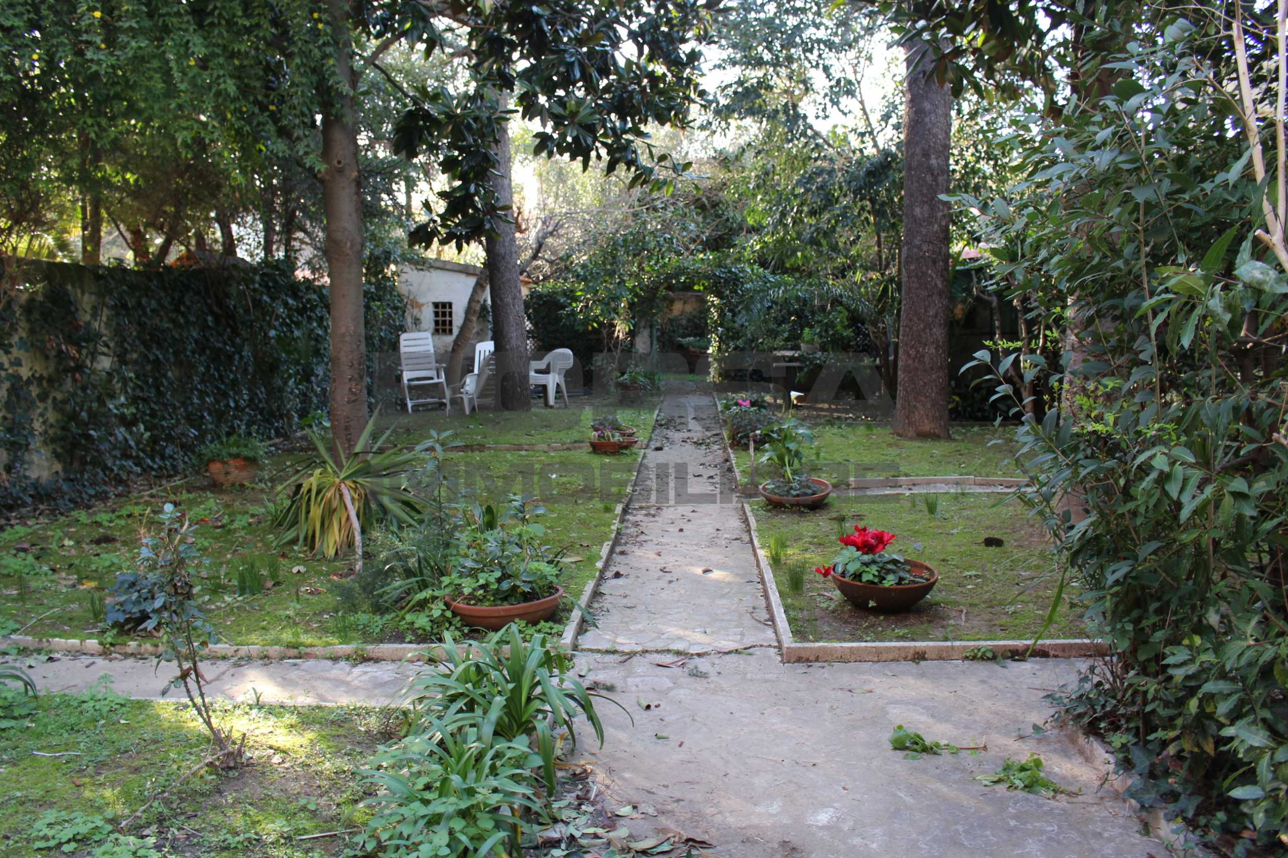  - foto 24
