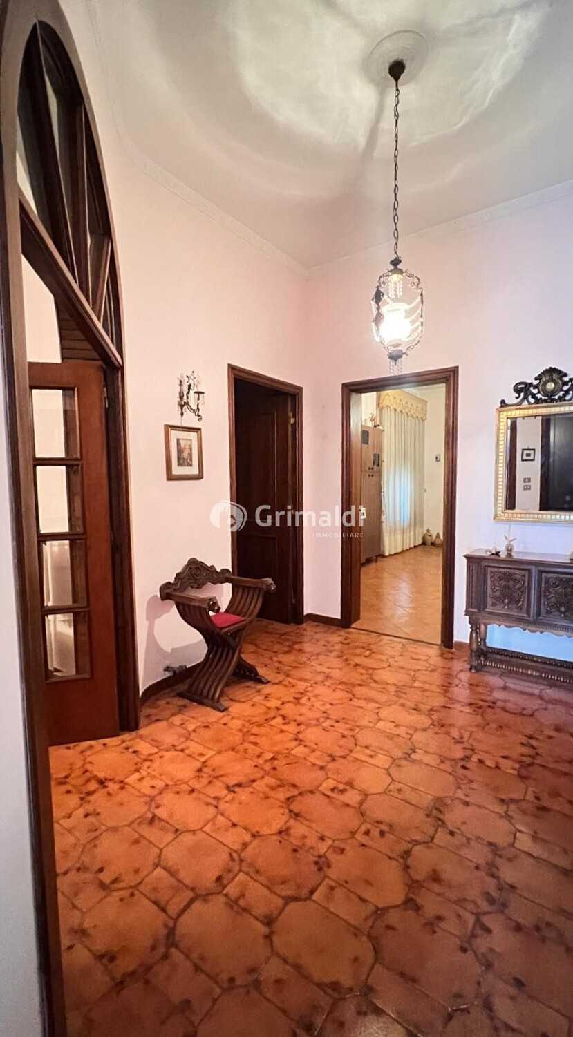  - foto 6