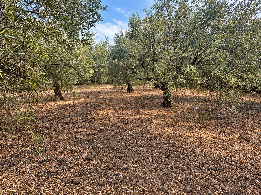  - foto 18