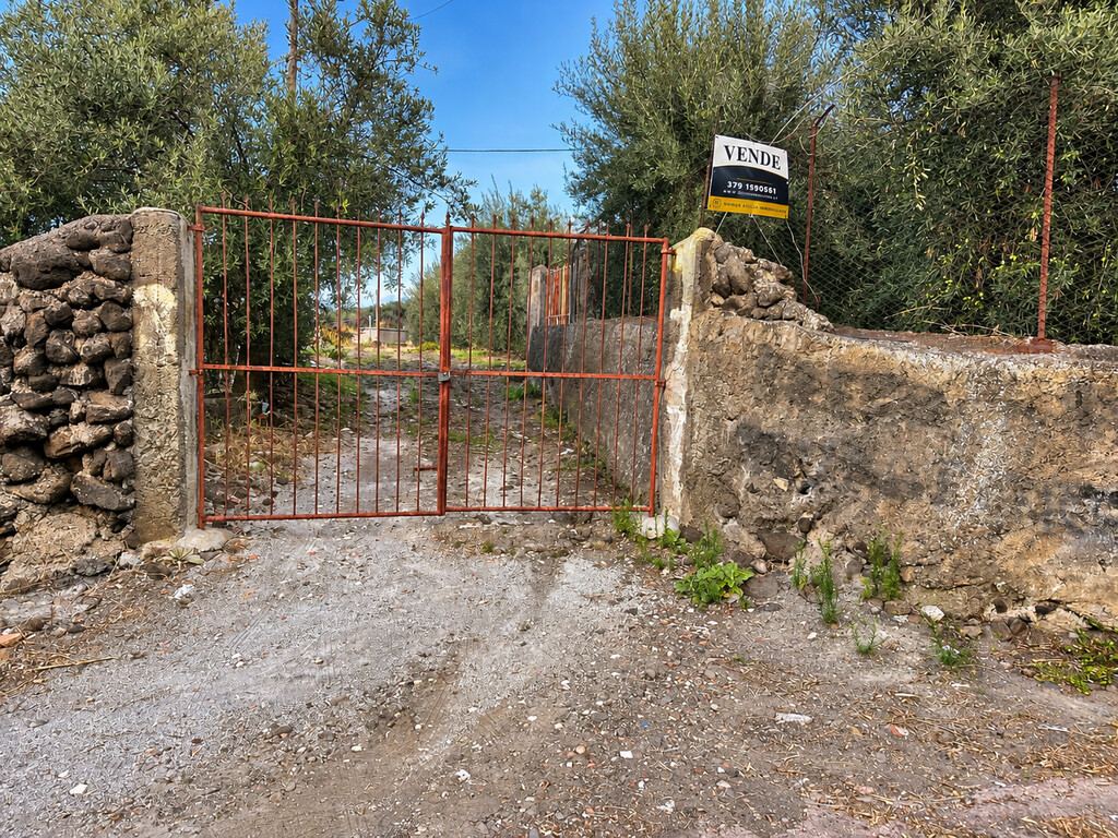  - foto 3