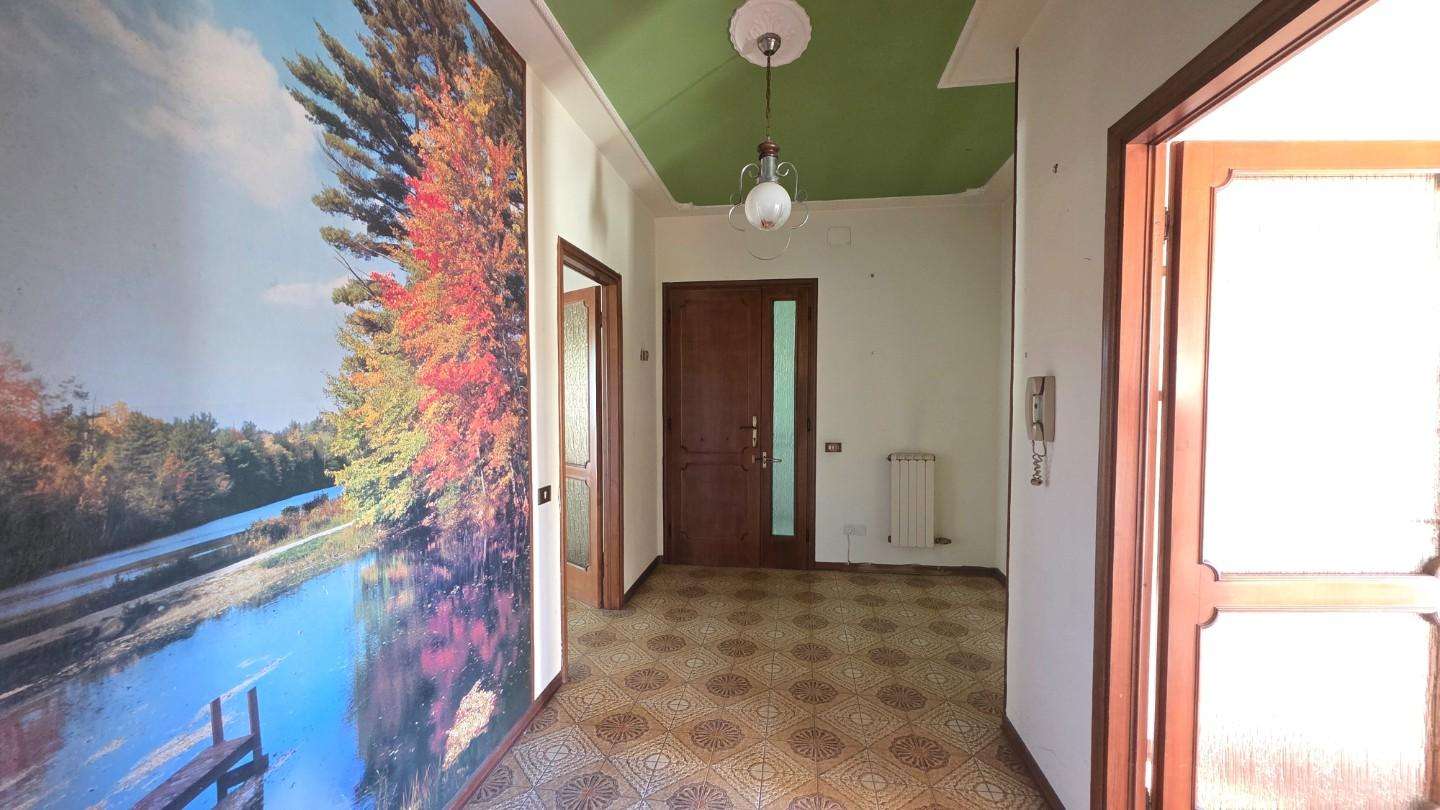 - foto 19