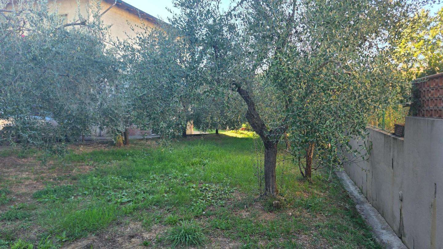  - foto 21