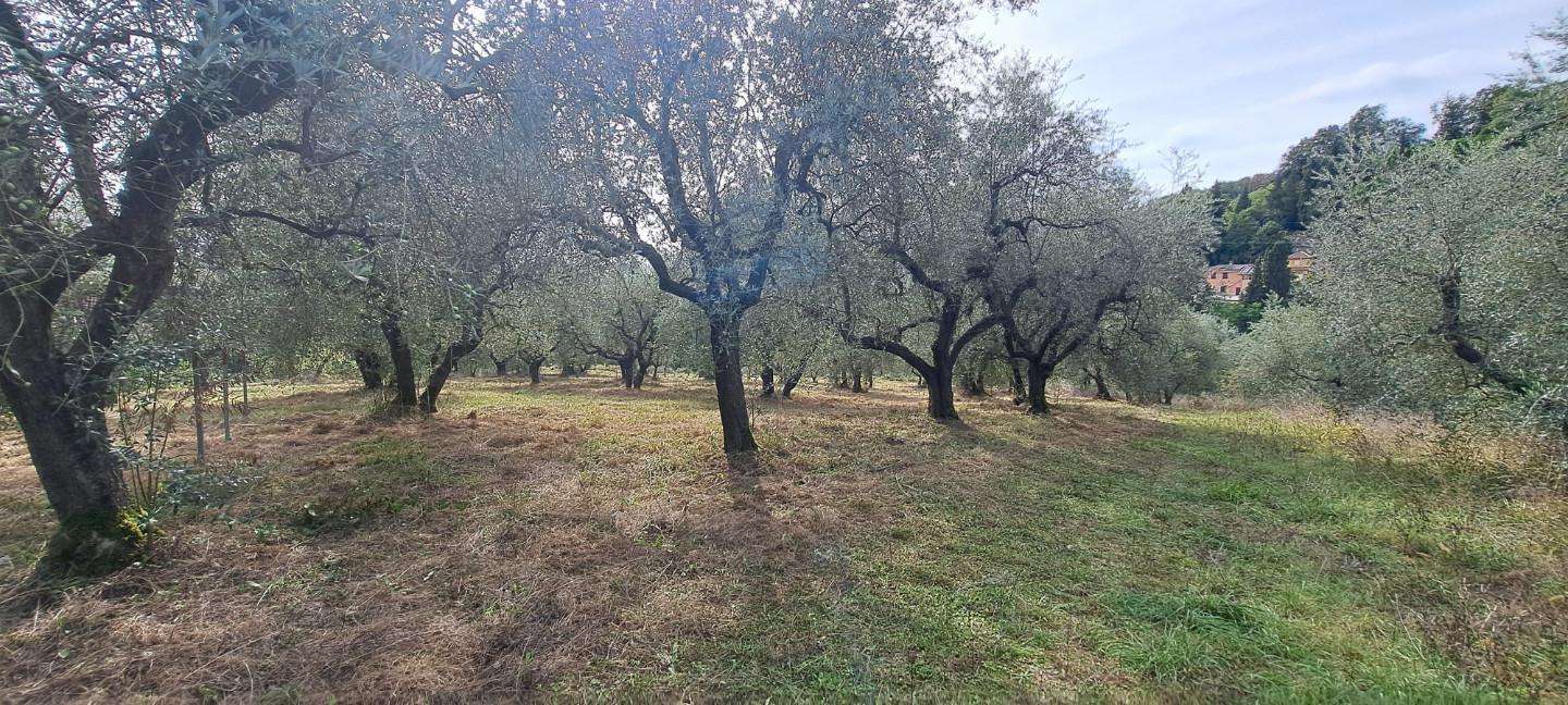  - foto 11