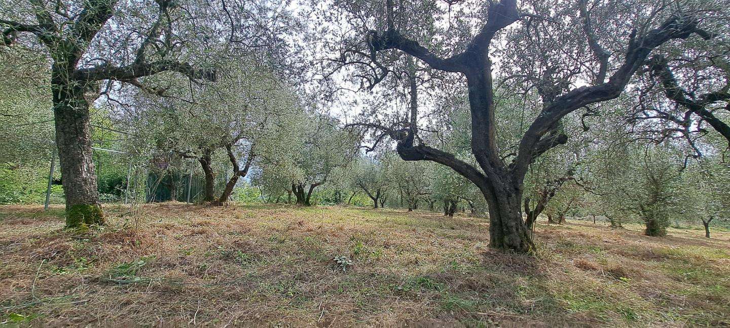  - foto 16