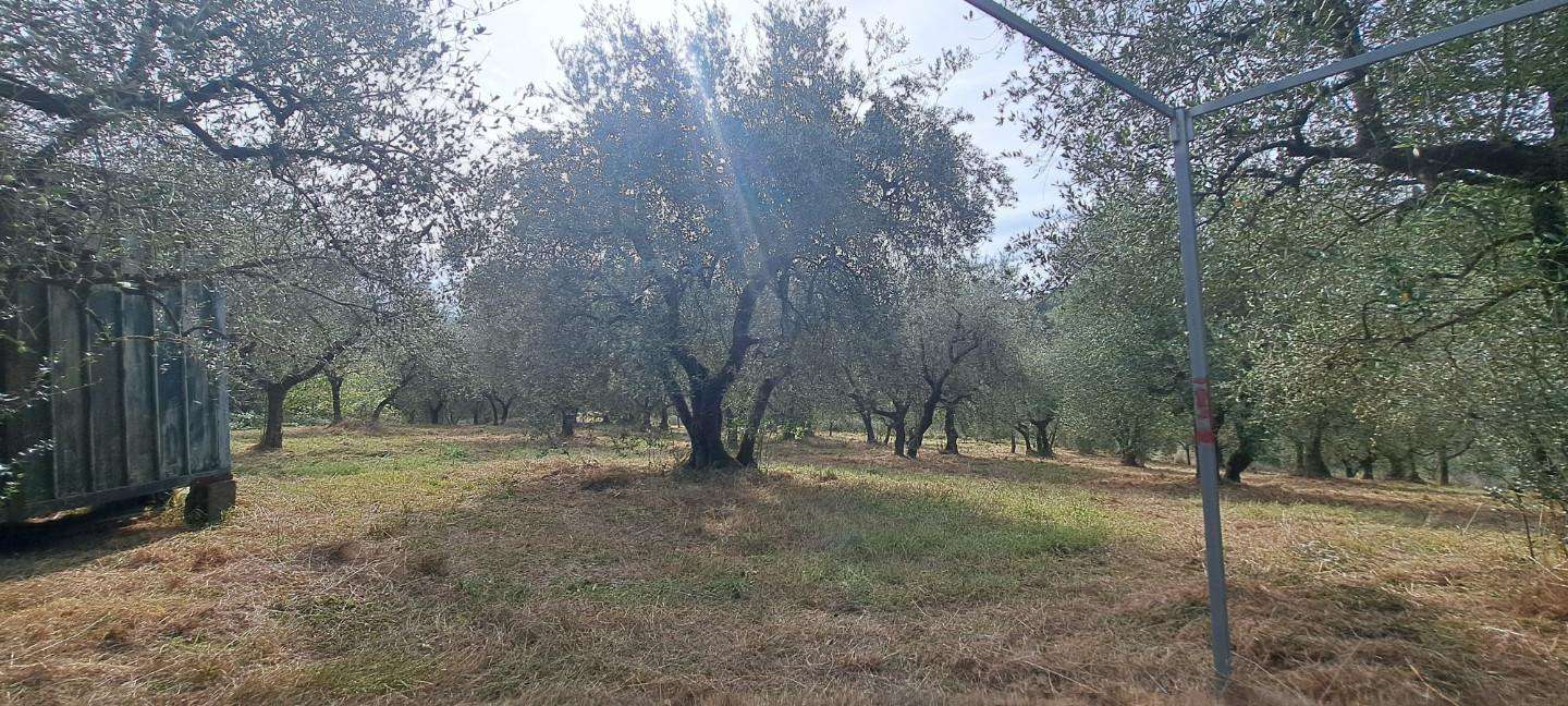  - foto 18