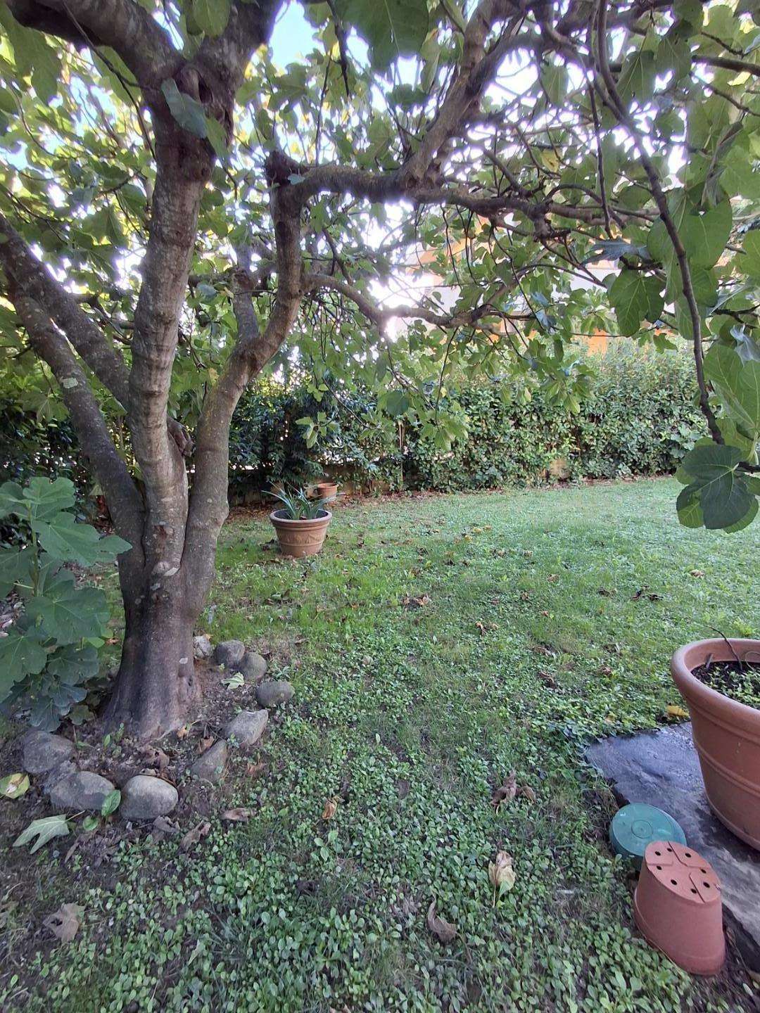  - foto 22