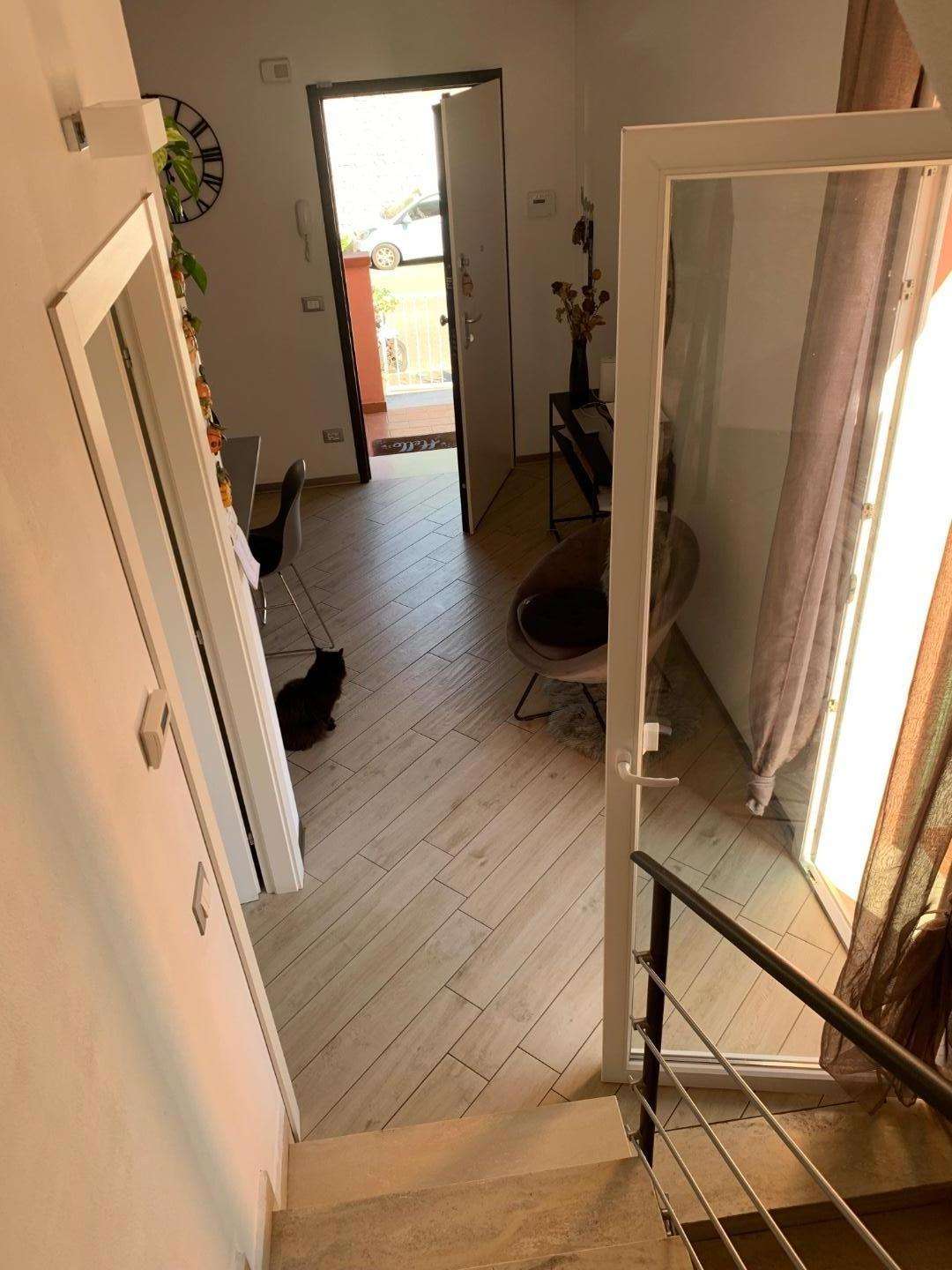  - foto 8