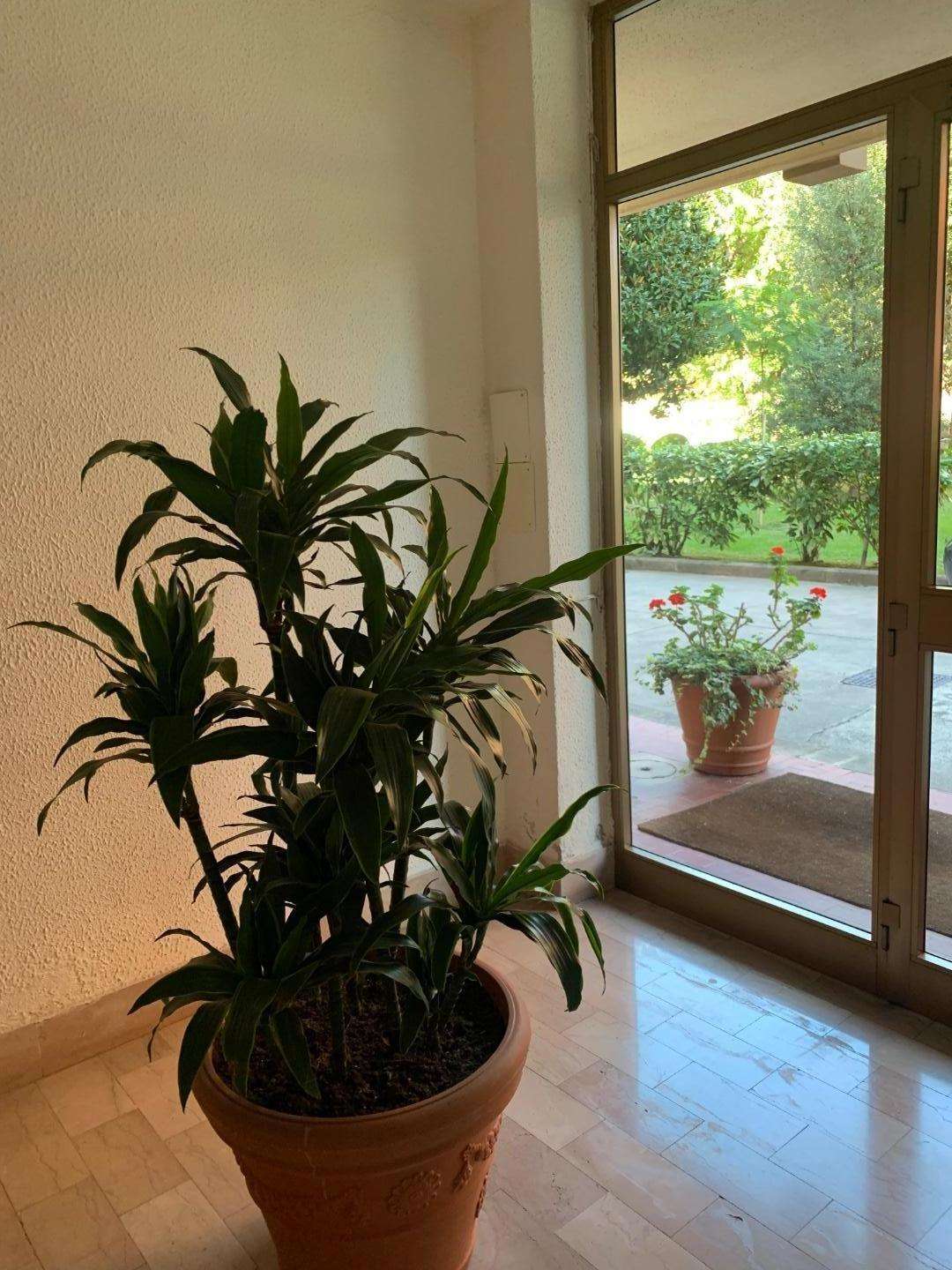  - foto 27