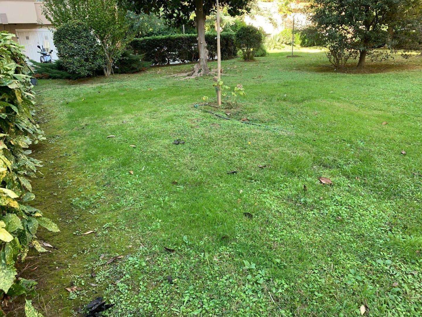  - foto 28