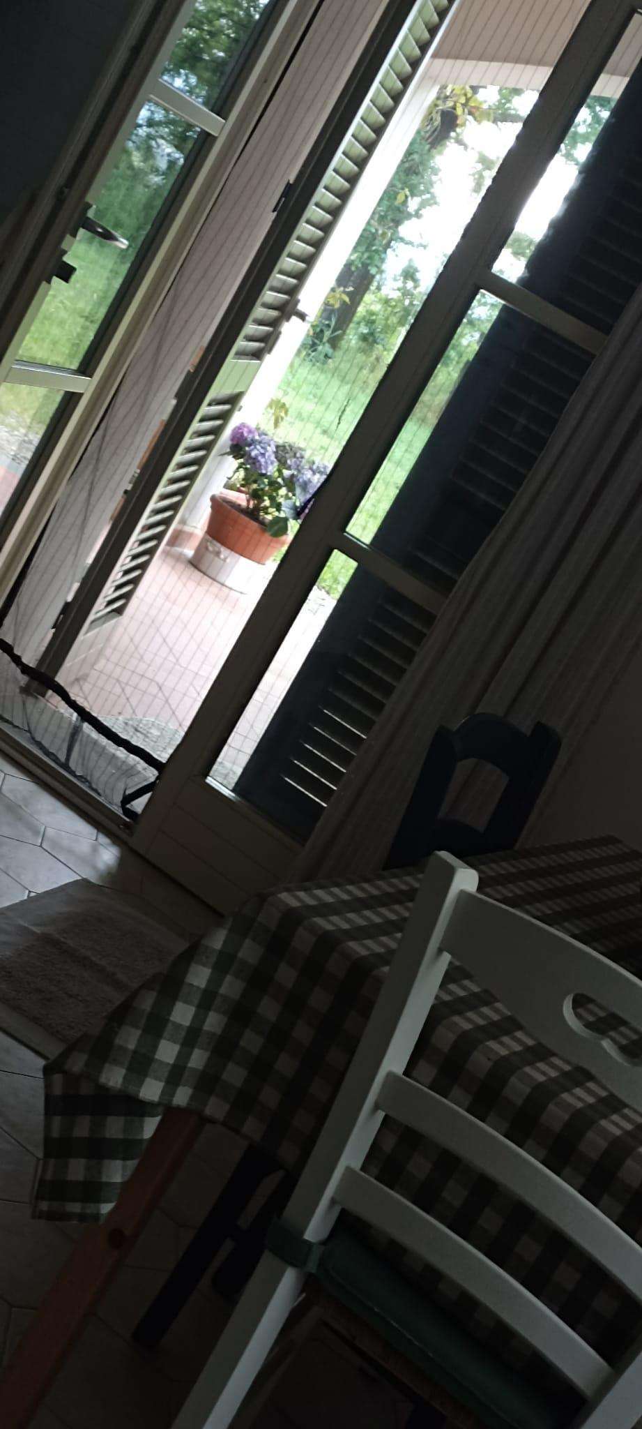  - foto 13