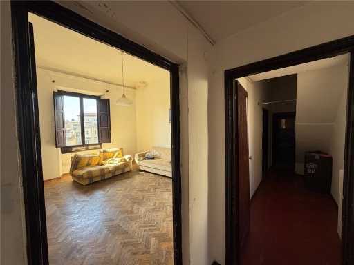  - foto 13