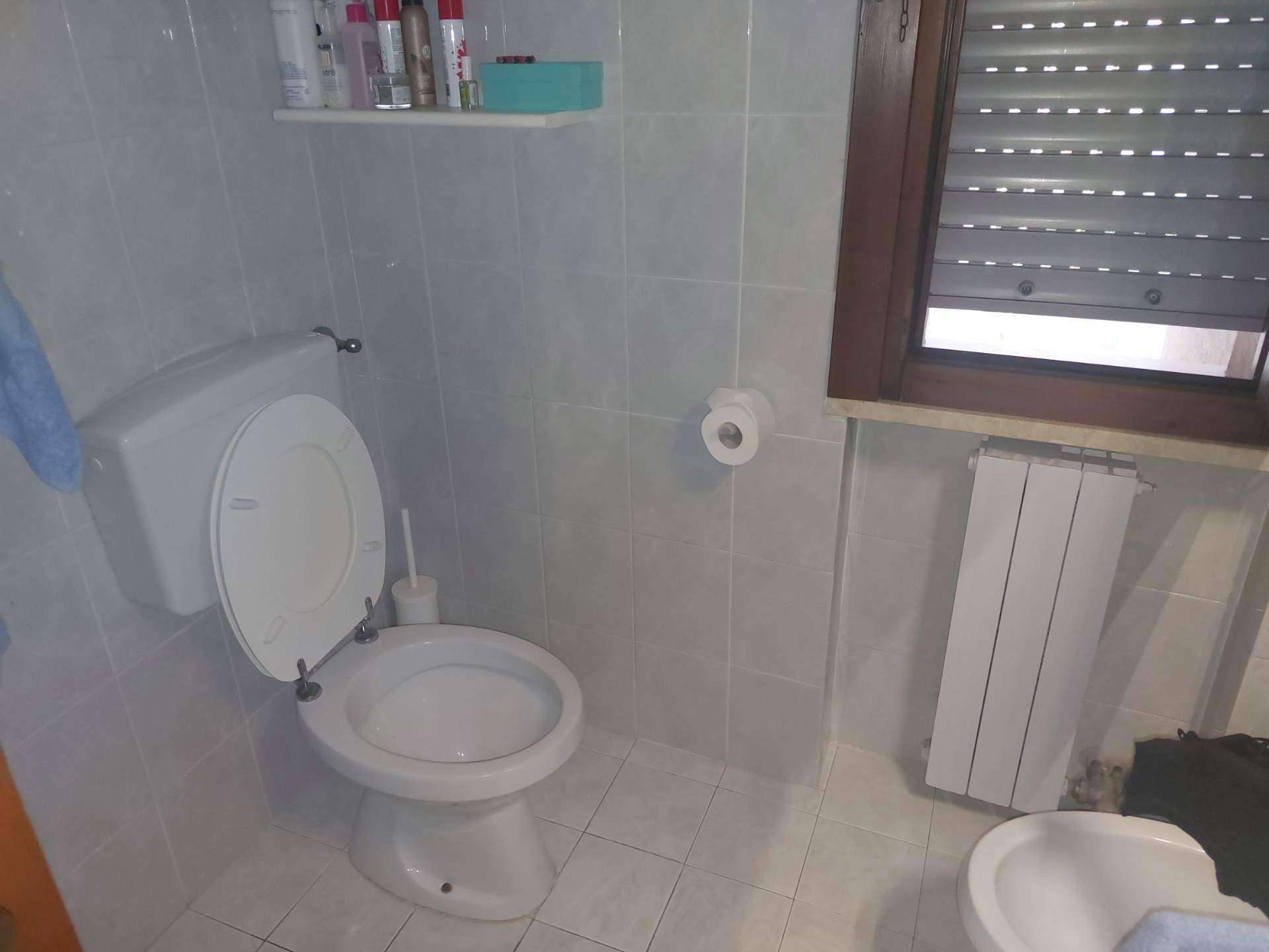  - foto 11