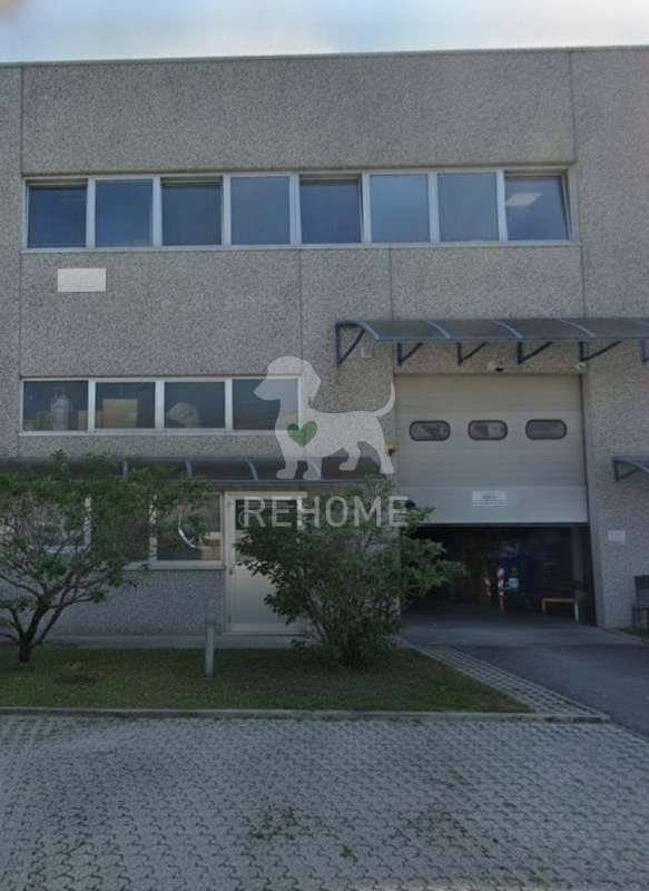  - foto 3