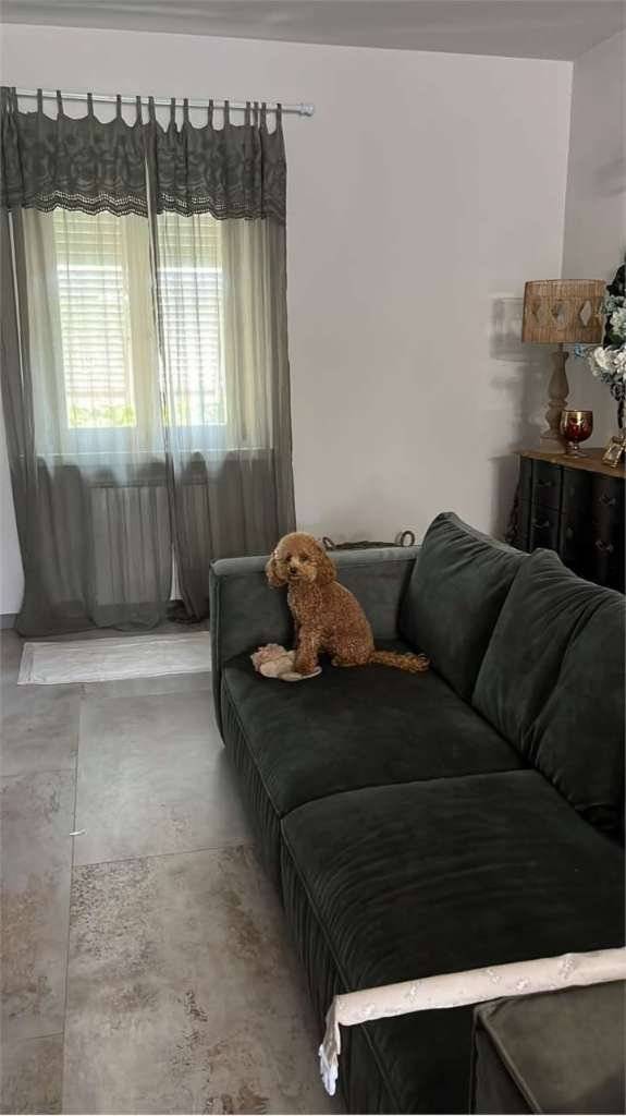  - foto 6