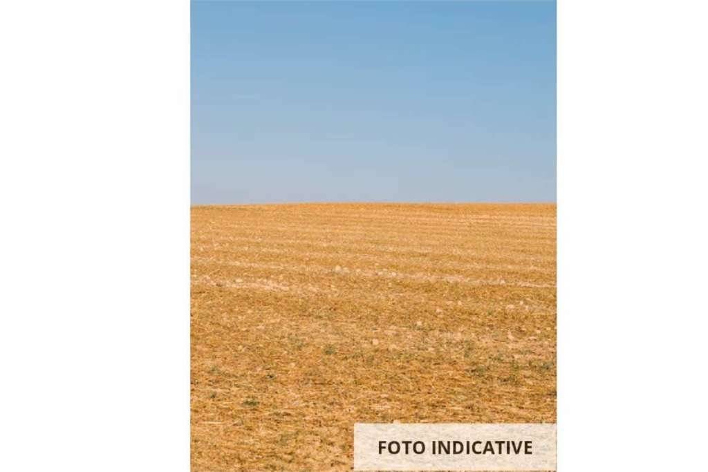  - foto 6