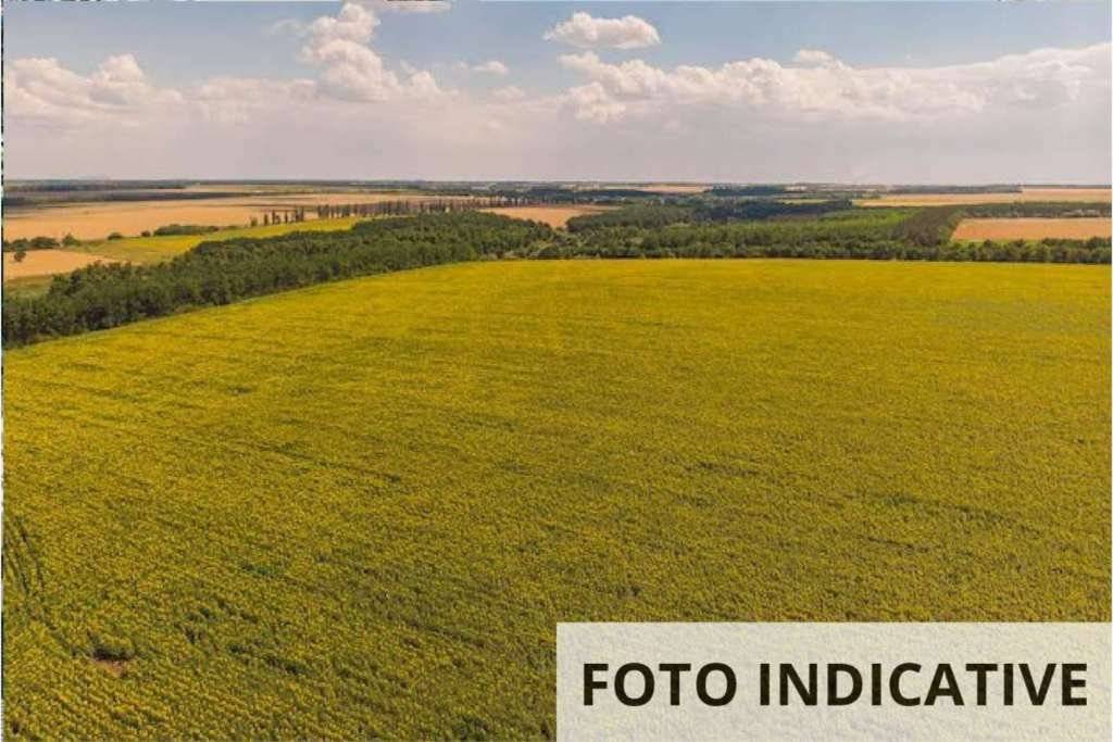  - foto 7