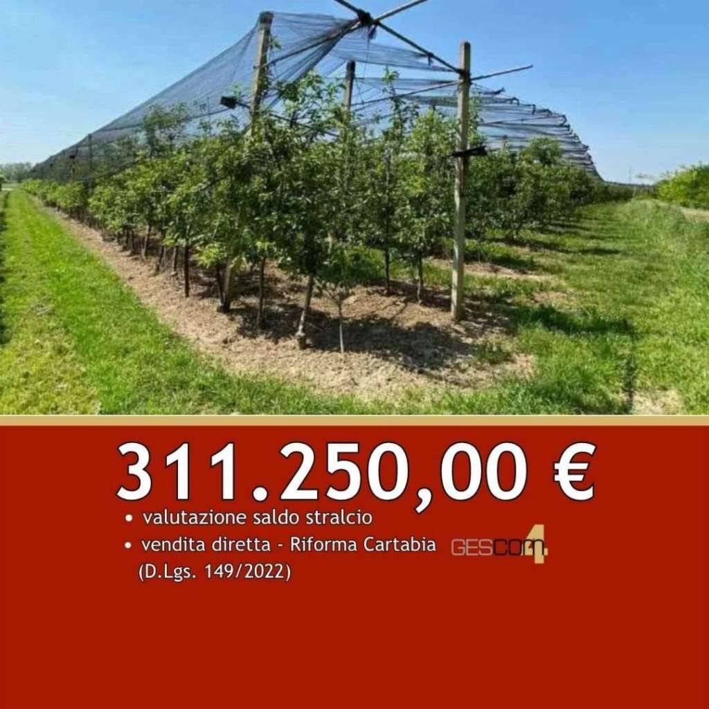 Terreno agricolo Località Sabbionara, Zevio