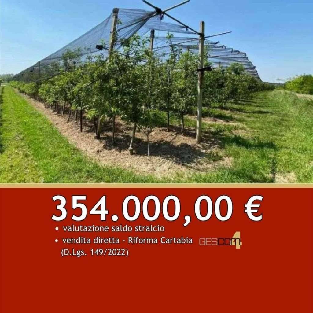 Terreno agricolo Località Sabbionara, Zevio