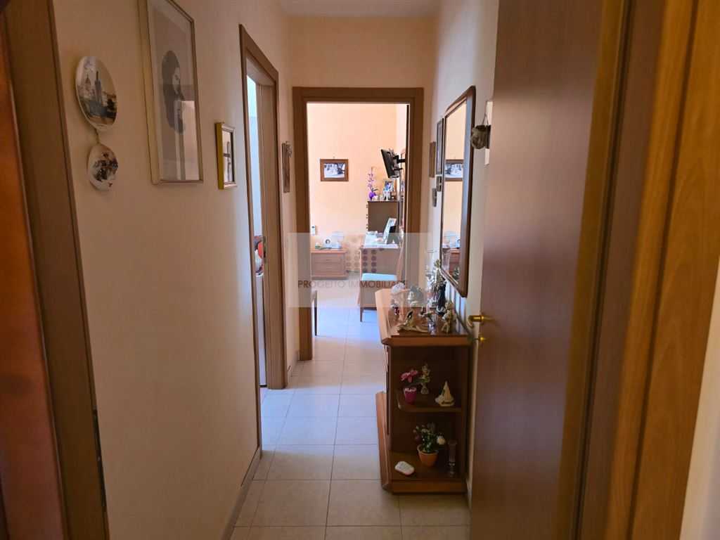  - foto 11