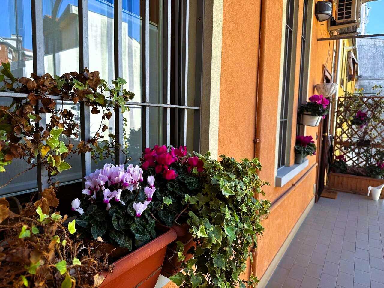  - foto 38