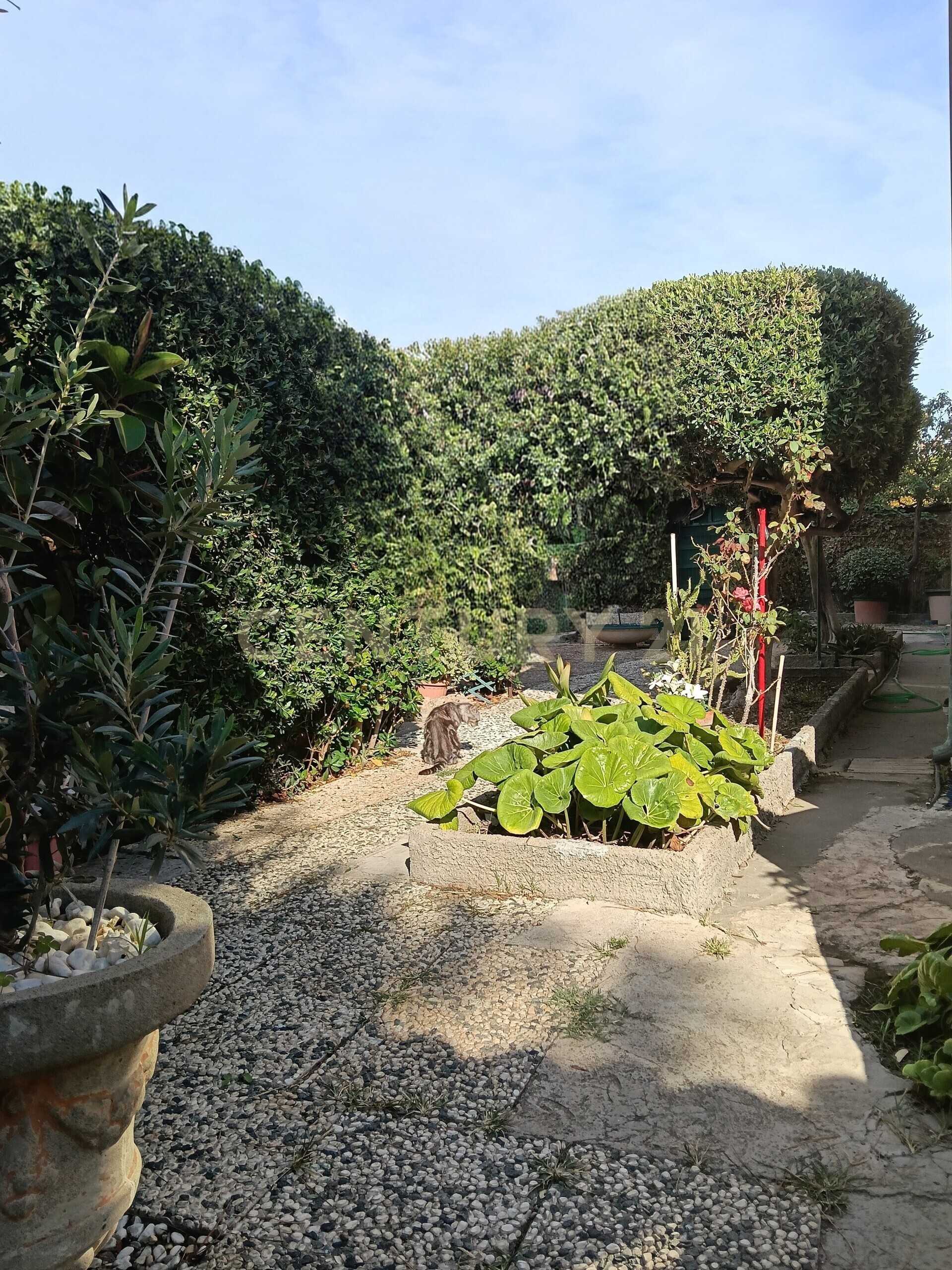  - foto 16