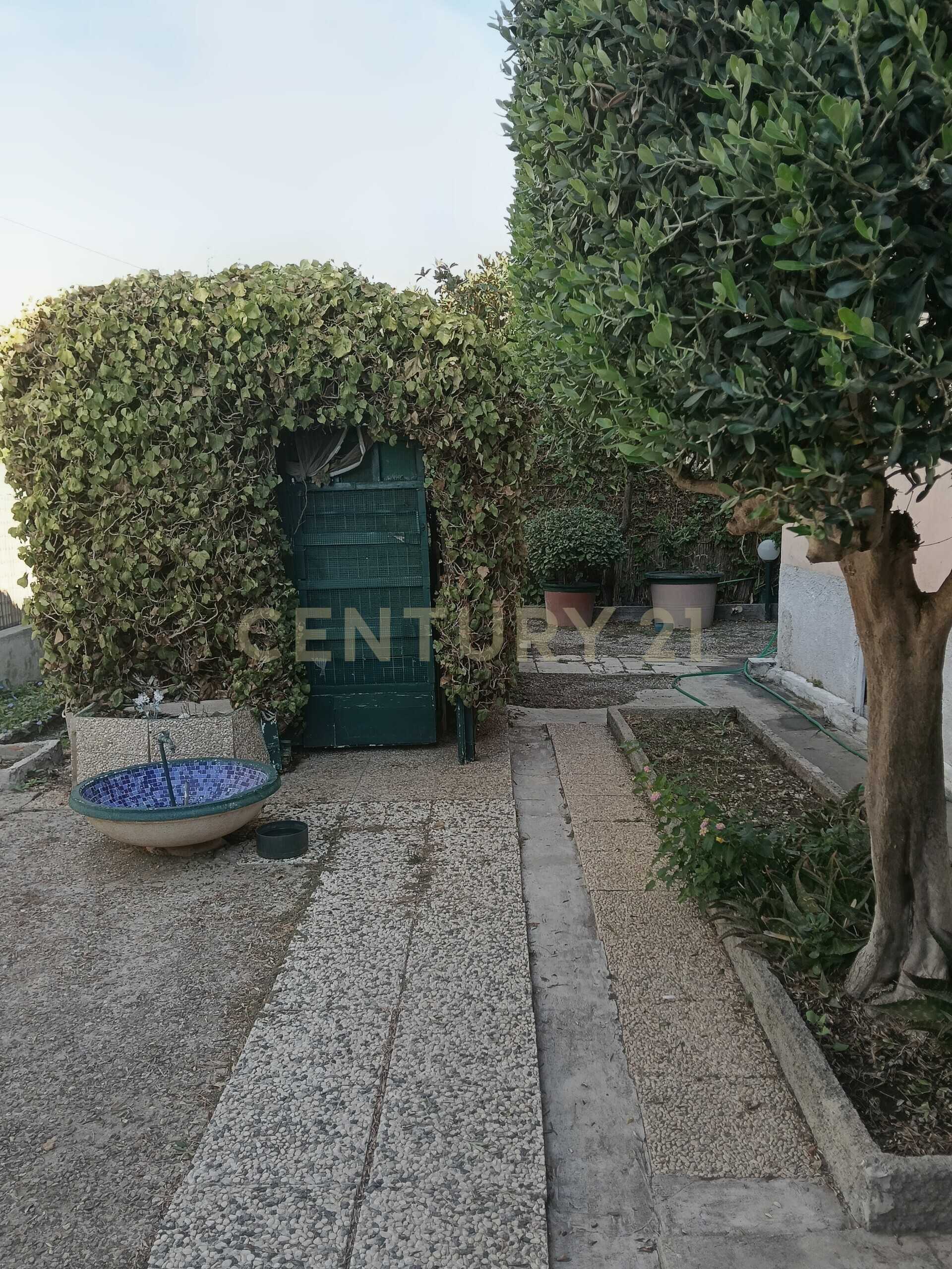  - foto 21