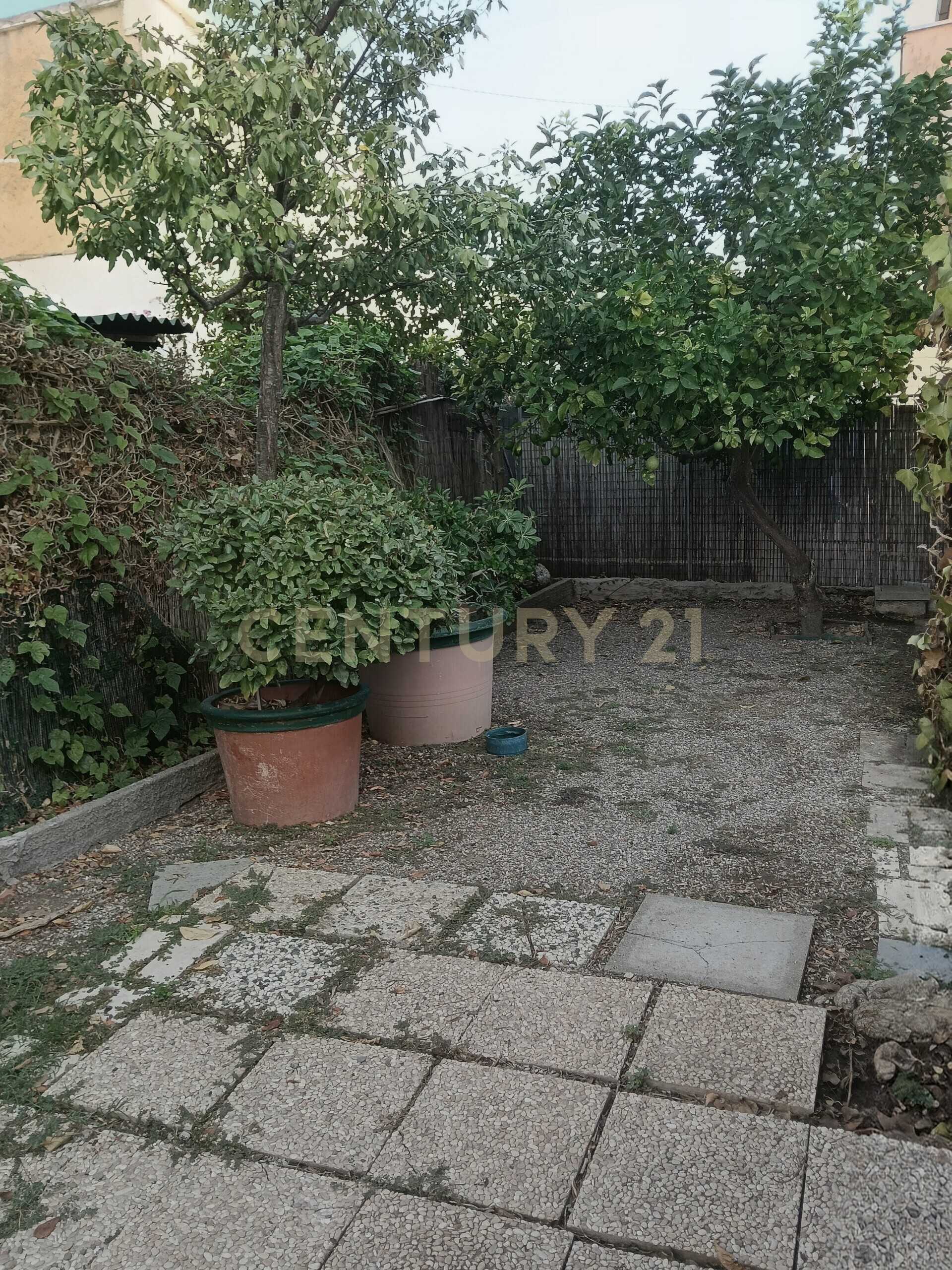  - foto 23