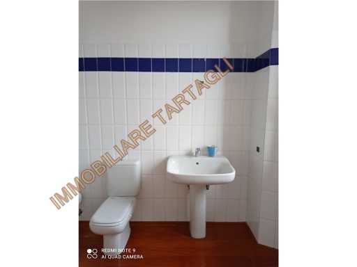  - foto 11