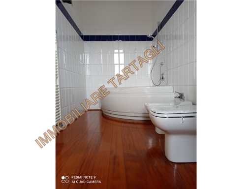 - foto 13