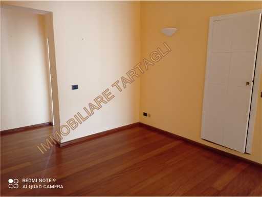  - foto 15