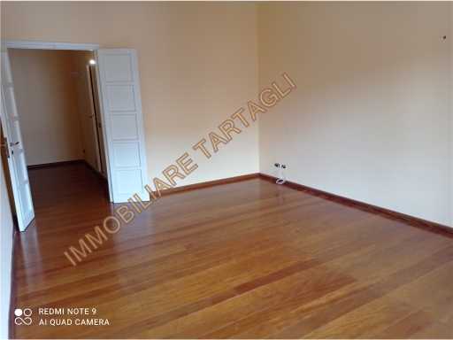  - foto 17