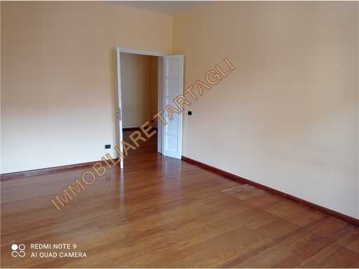  - foto 19