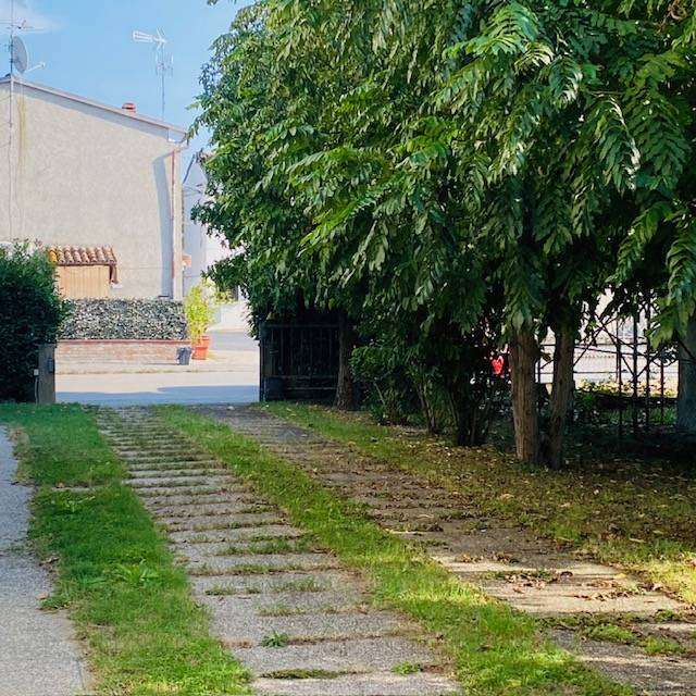  - foto 15