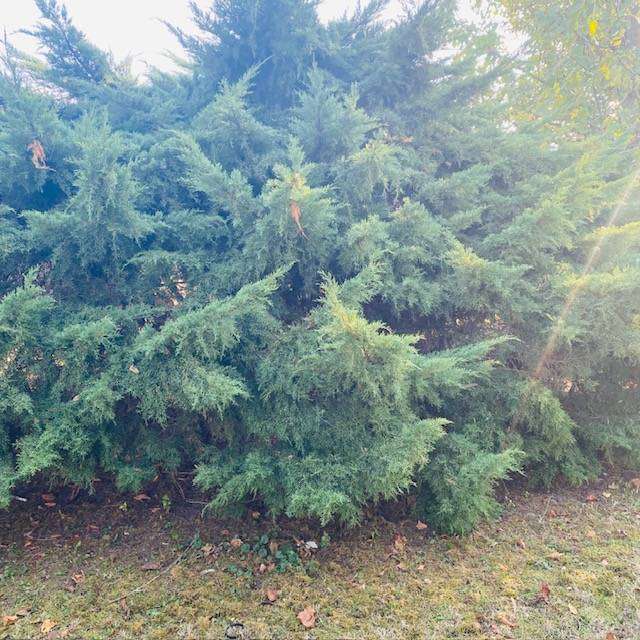  - foto 22