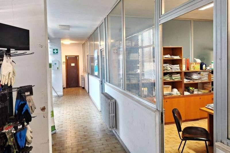  - foto 6
