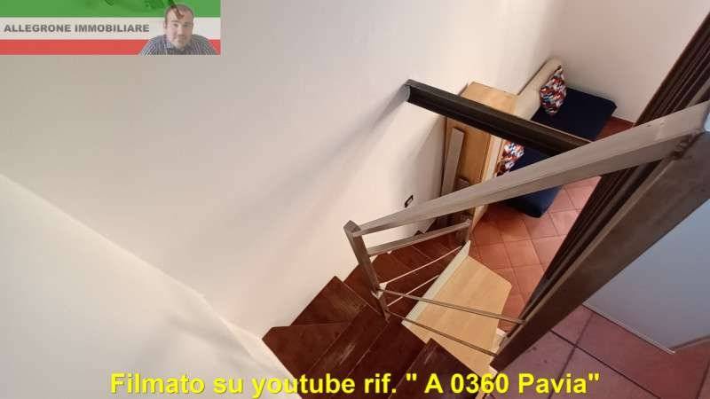  - foto 9