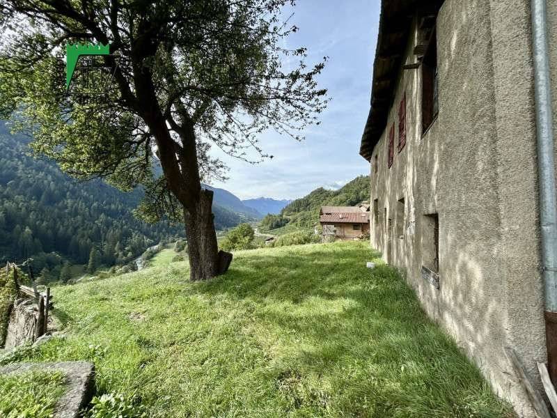  - foto 7