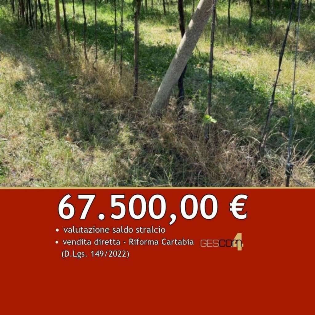 Terreno agricolo Viale dell'Industria, 50, San Giovanni Ilarione