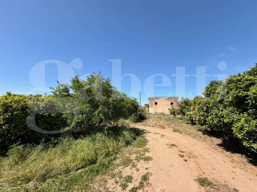  - foto 10