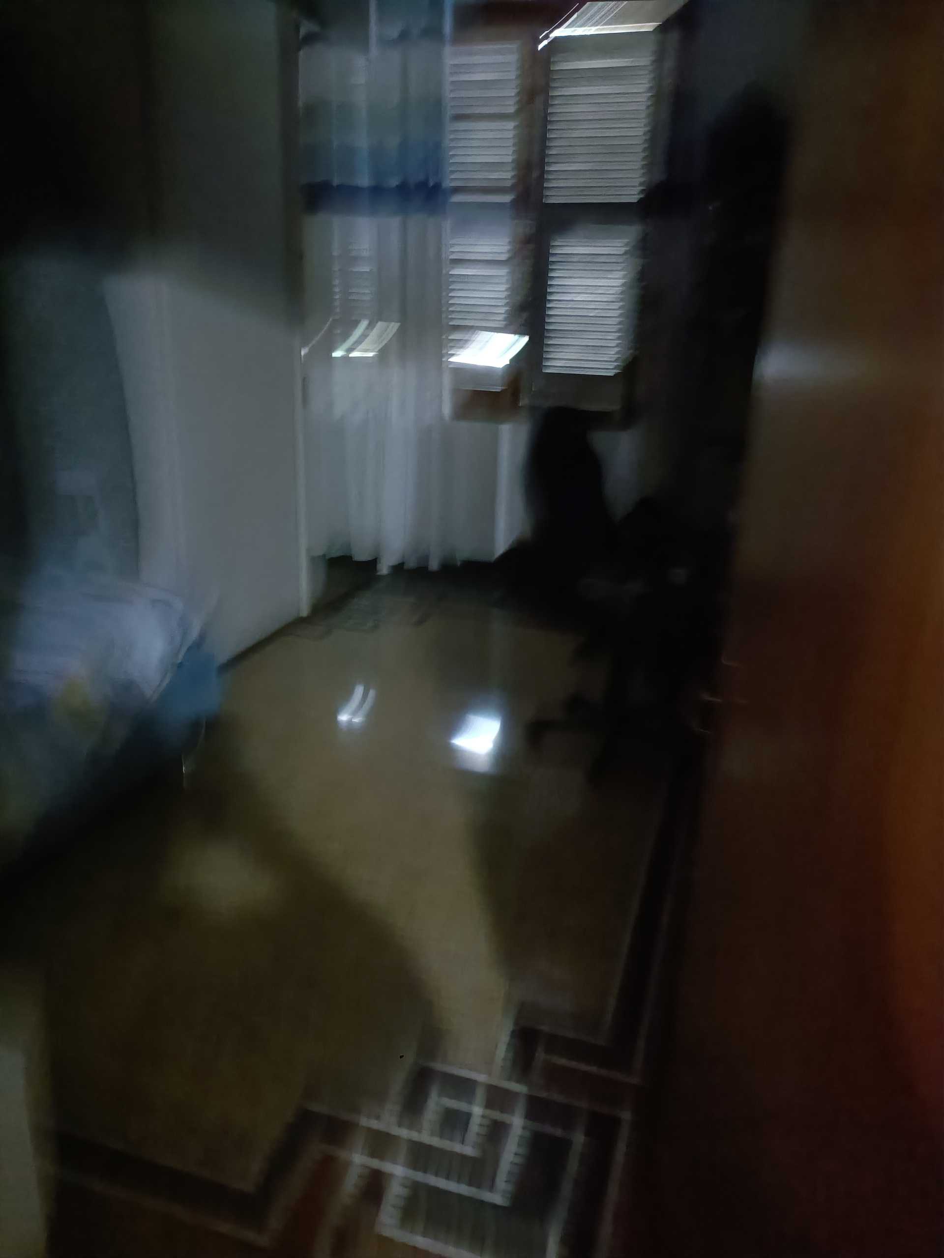  - foto 11