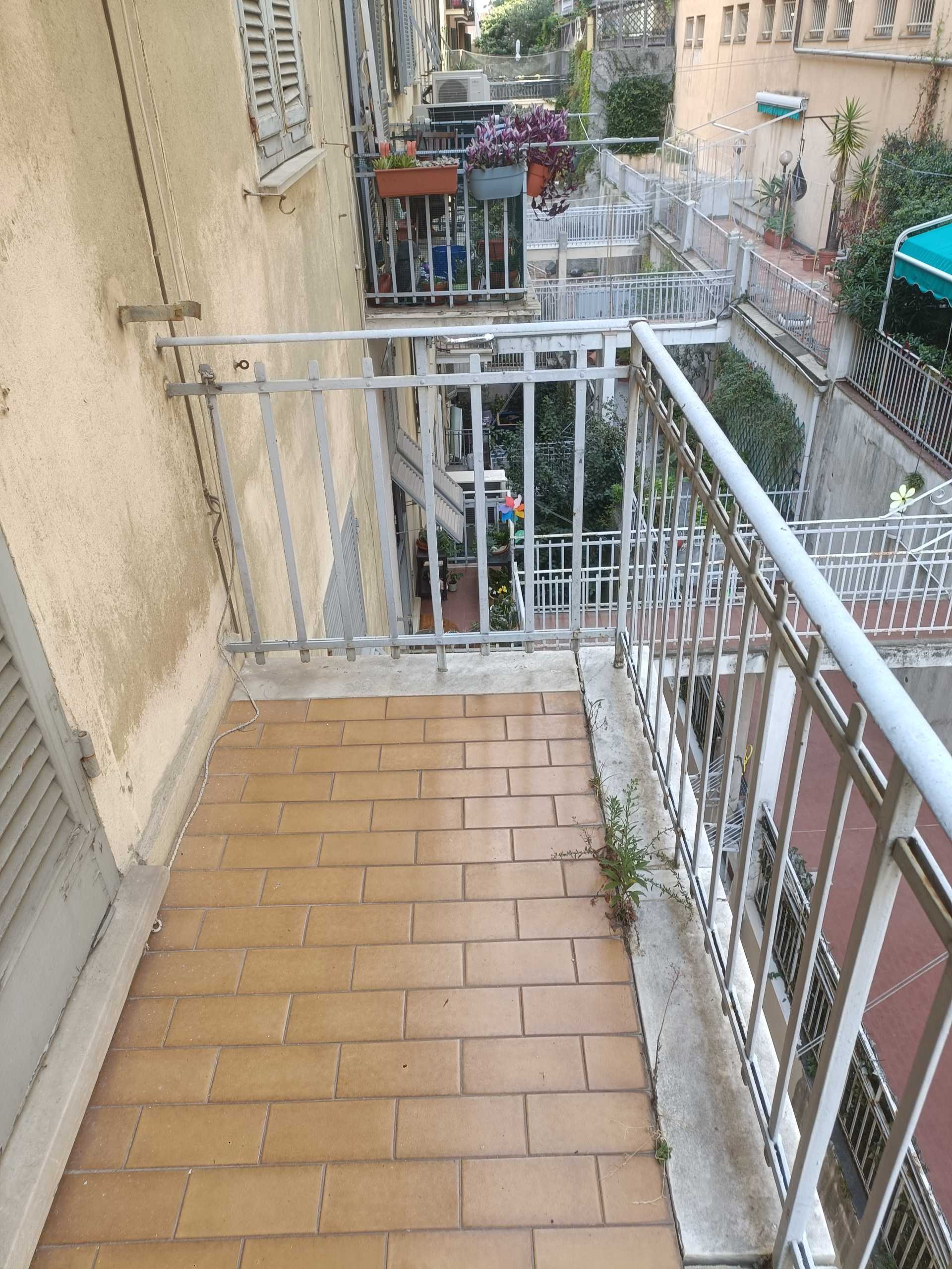  - foto 13