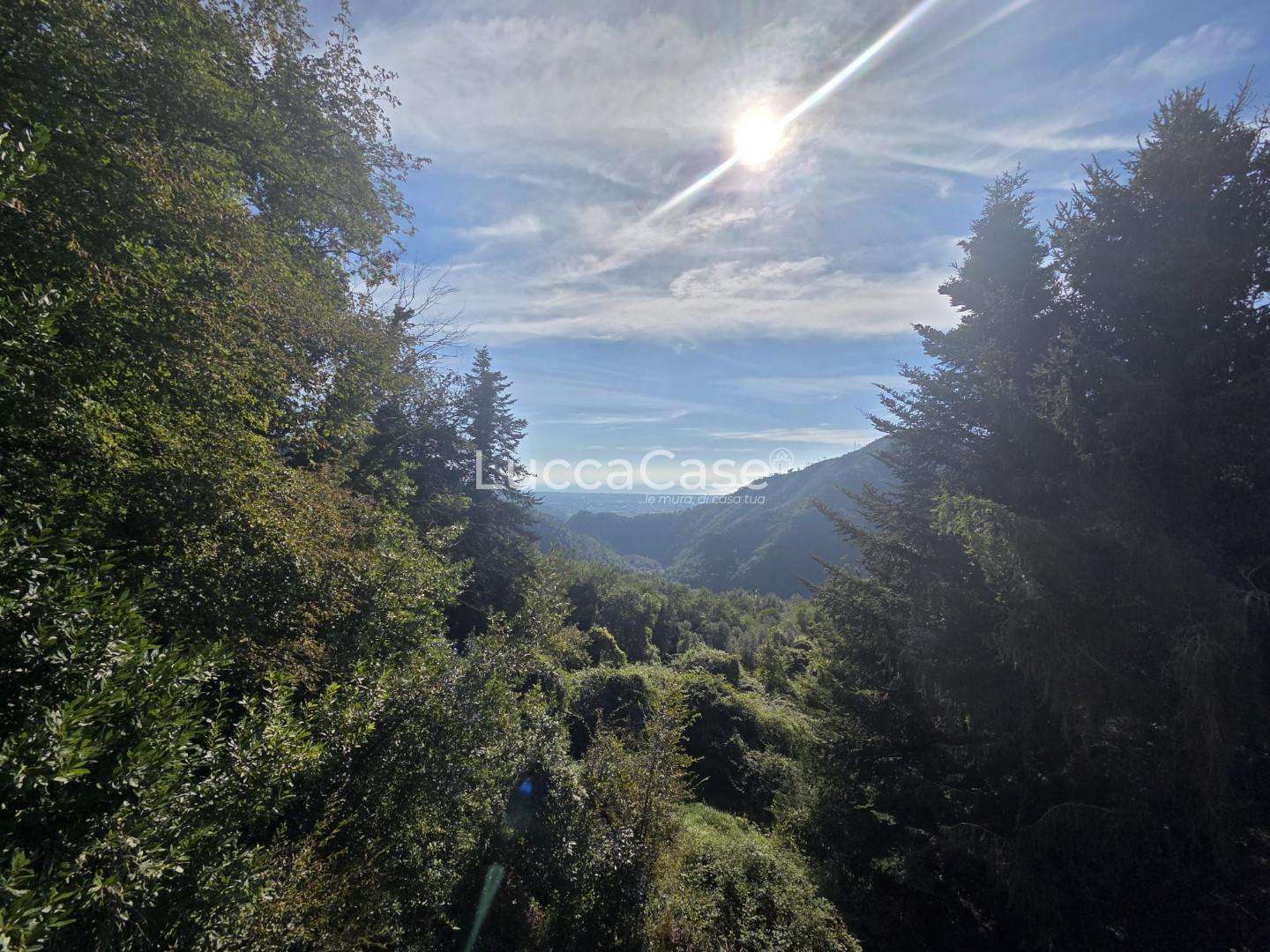  - foto 20