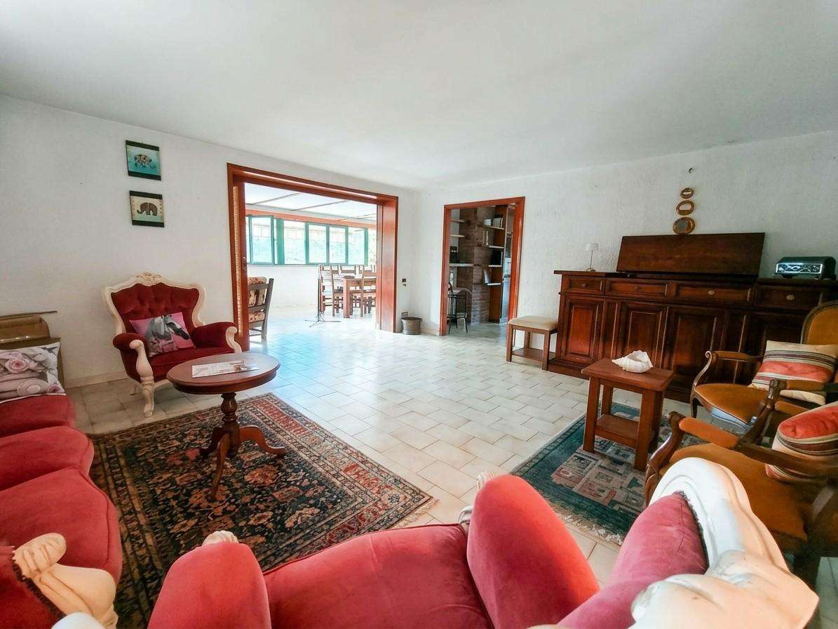  - foto 13