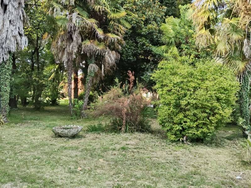  - foto 5
