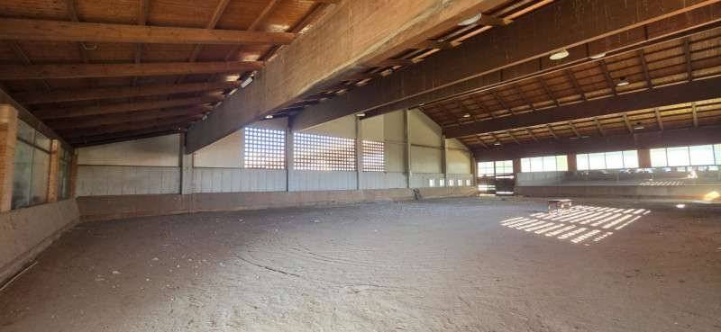 Magazzino - Deposito Corso Venezia, 18, San Bonifacio