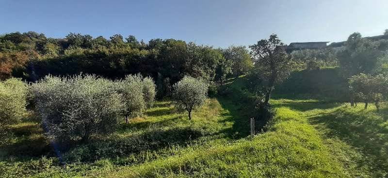 Terreno agricolo Via Provinciale, Puegnago del Garda