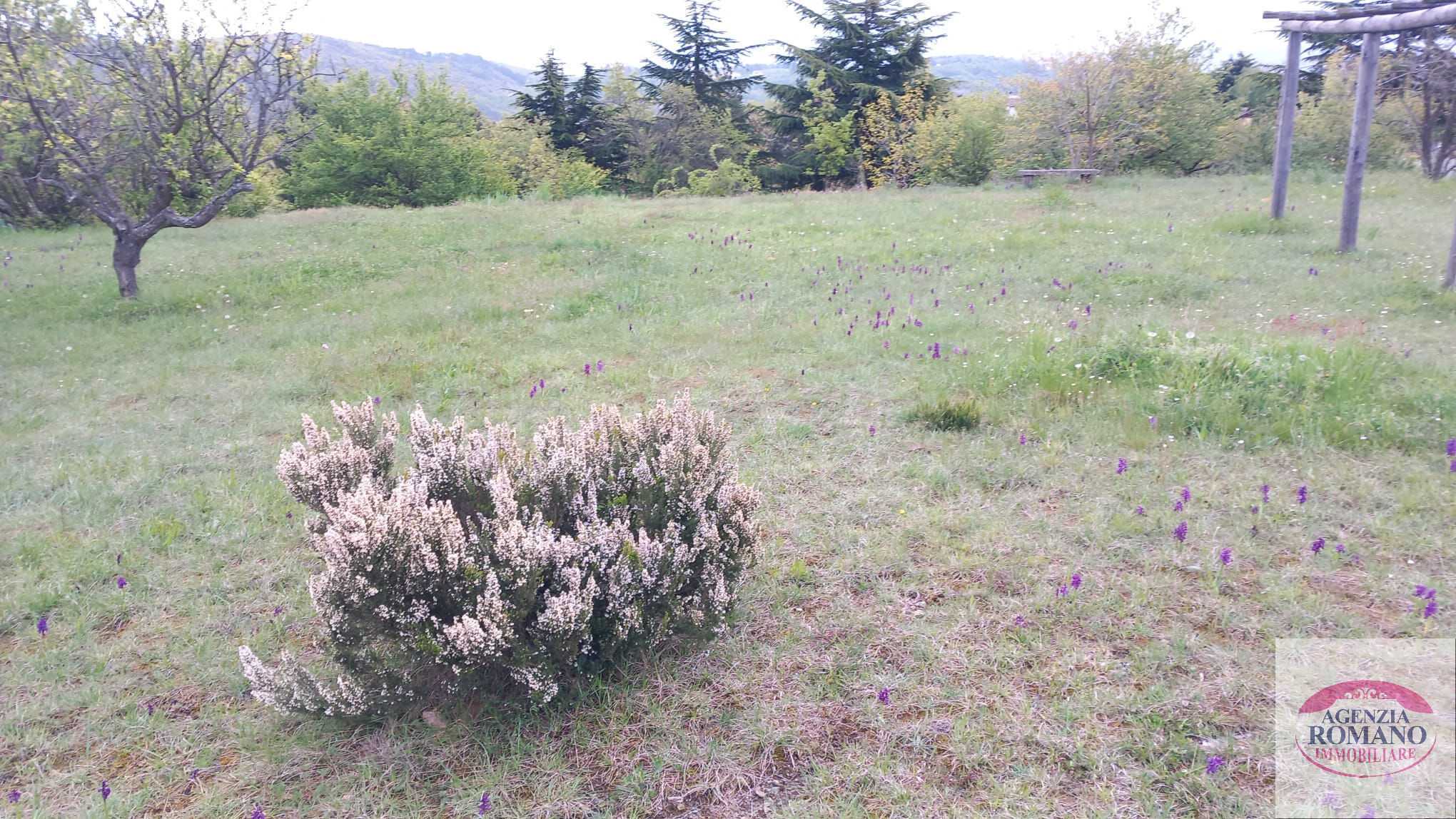  - foto 15